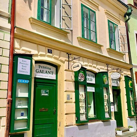 Апартаменты Apartman Galant Чески-Крумлов Экстерьер фото